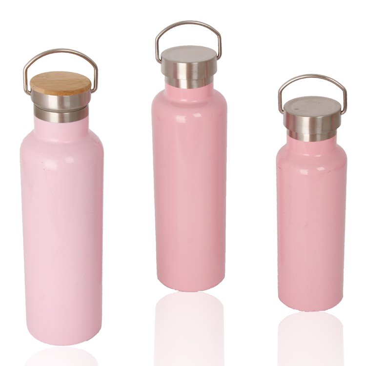 Stainless Steel Vacuum Bottles