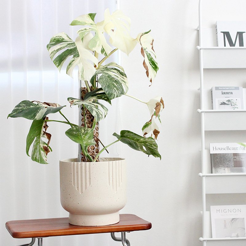 Planter Pot