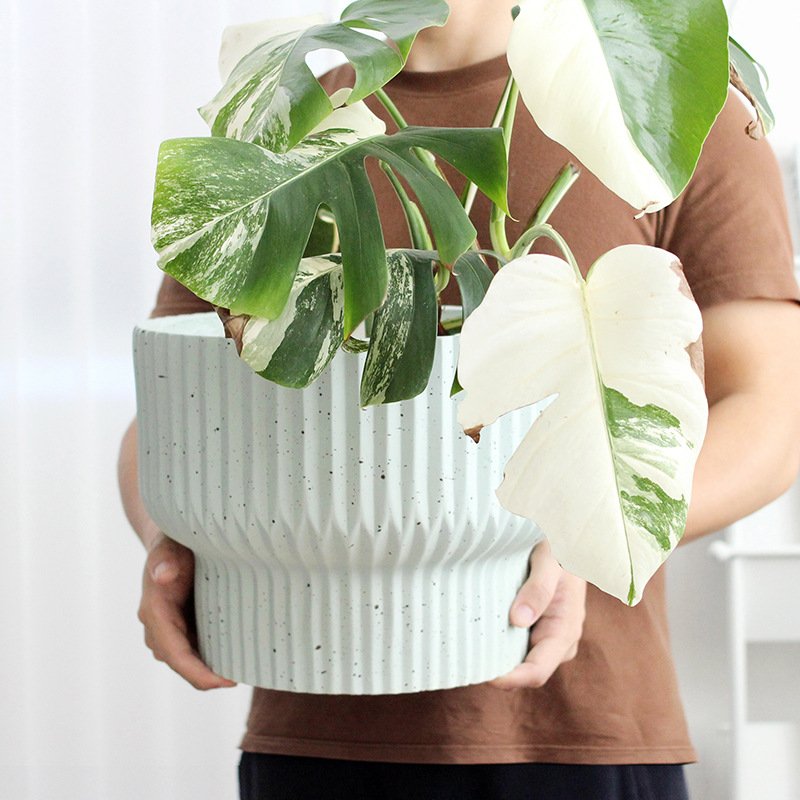 Planter Pot