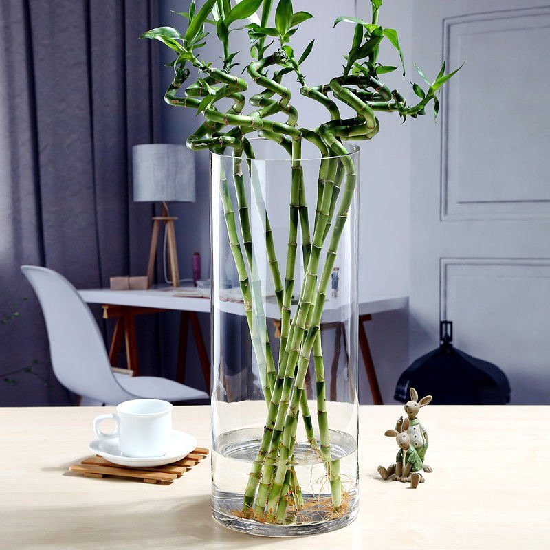 Glass Vase