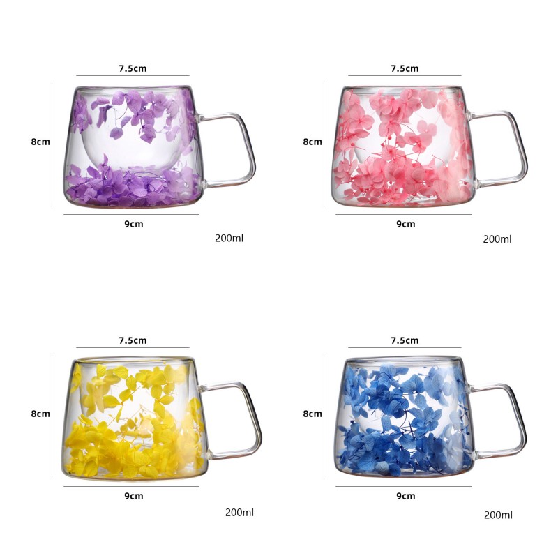 Double Wall Glass Mug