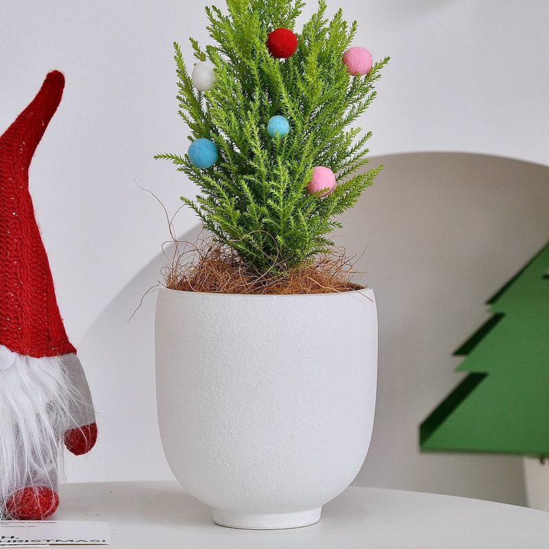 Flower Pot