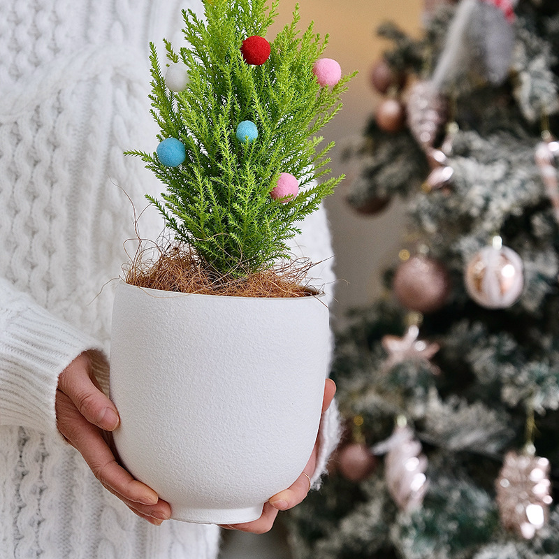 Flower Pot