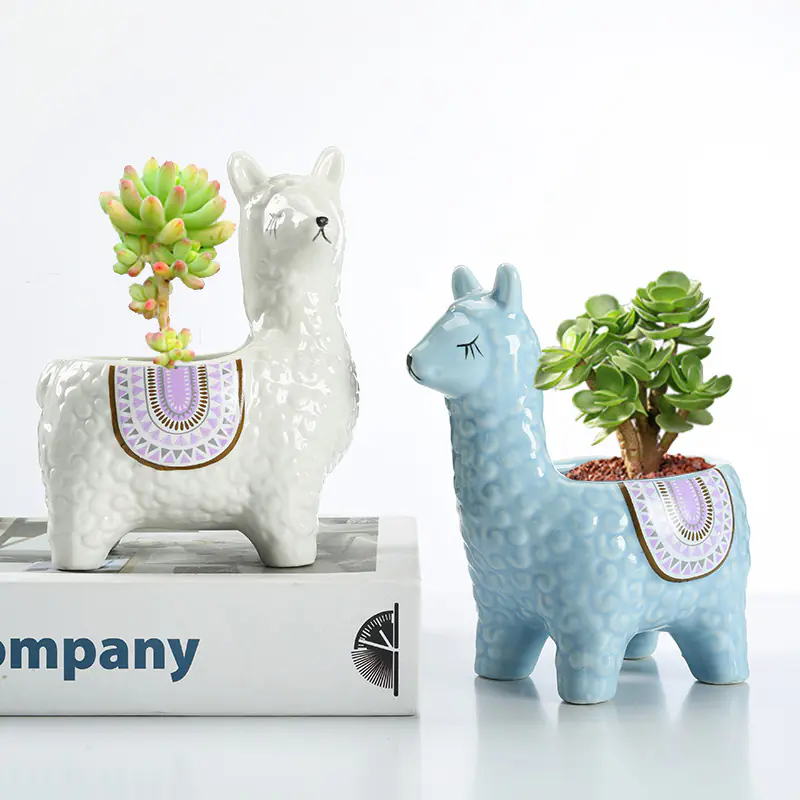 Succulent Flower Pot