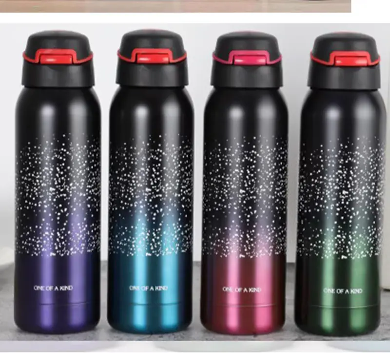 Insulated Water Bottle