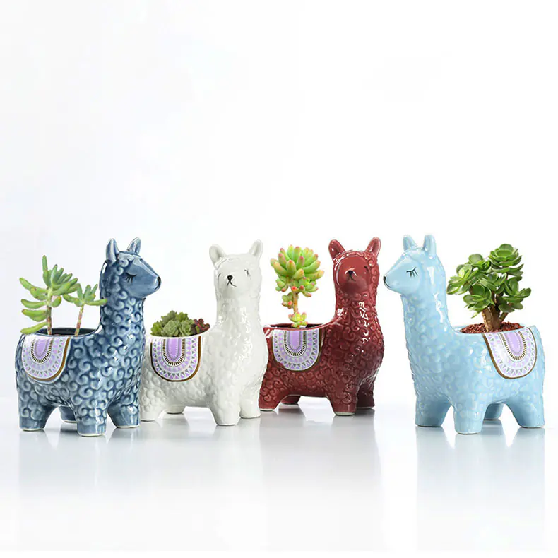Succulent Flower Pot