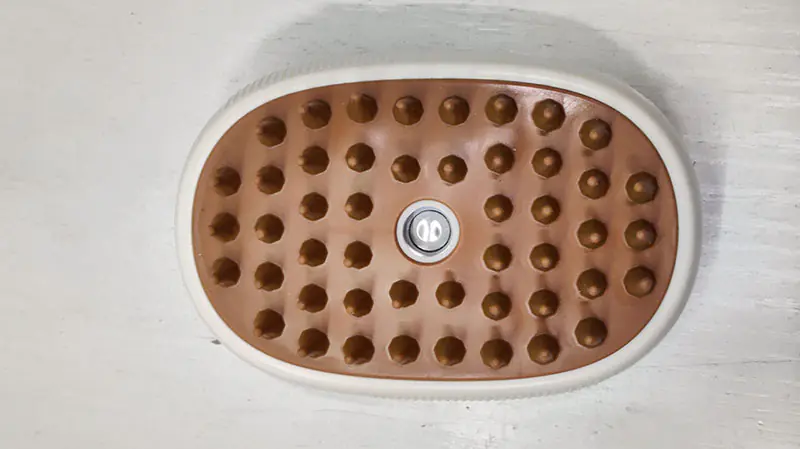Steam Pet Brush