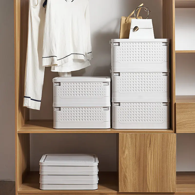 Storage Bins with Lids