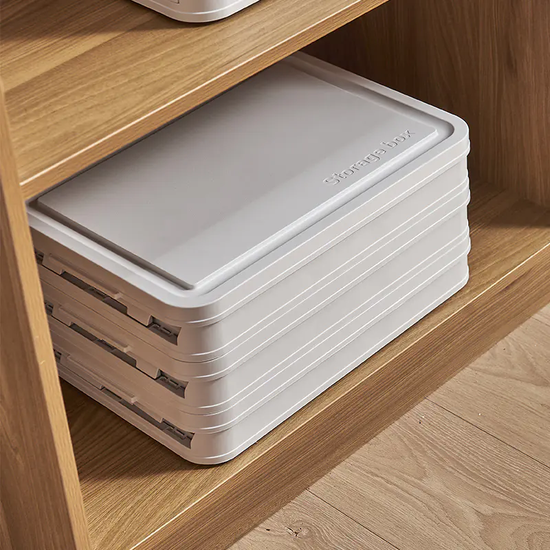 Storage Bins with Lids
