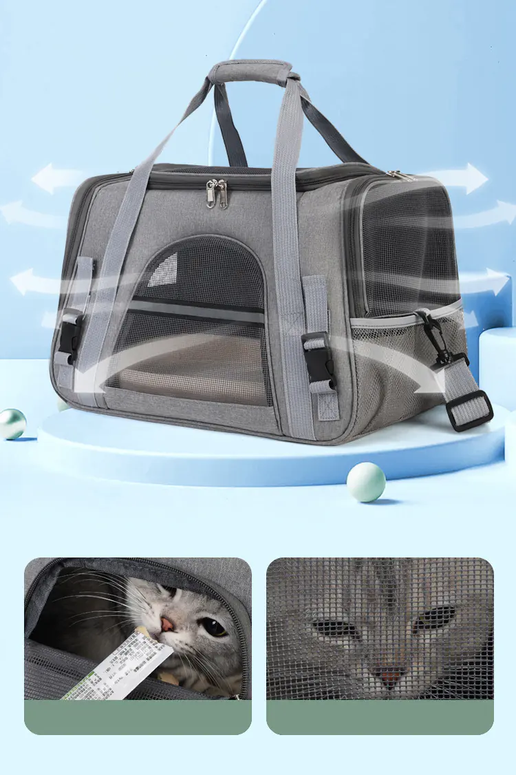 15 2025011309445376 Pet Carrier