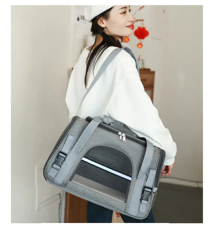Pet Carrier