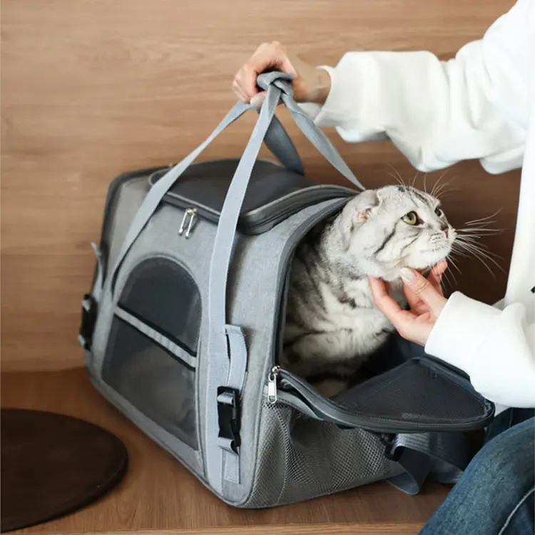 Pet Carrier