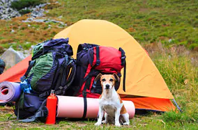 dostawcy produktów sportowych