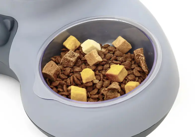 Dog Feeder United Pets 1,1 L Black polypropylene 24.5 cm main image 0