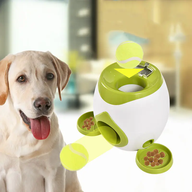 Automatic Pet Feeder