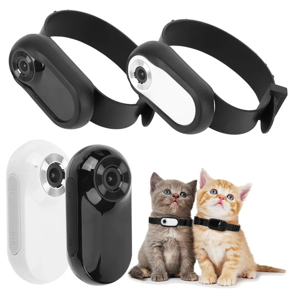 Cat Camera Collar