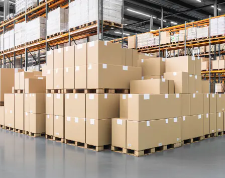 Commande et stockage en entrepôt 2025022501221884