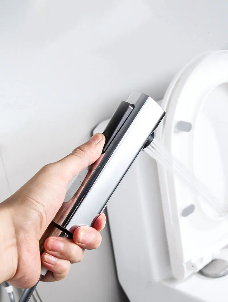 Bidet Sprayer