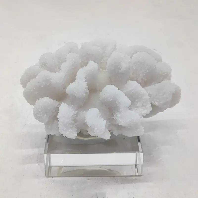 White Sculpture