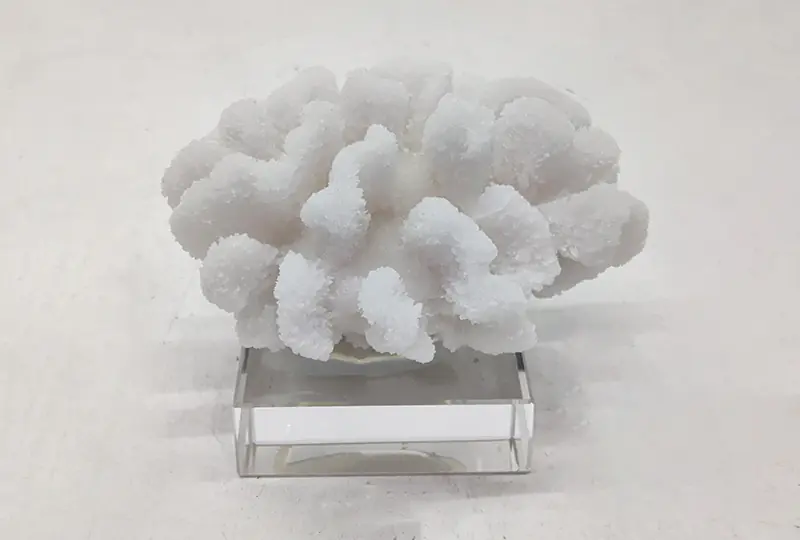 White Sculpture