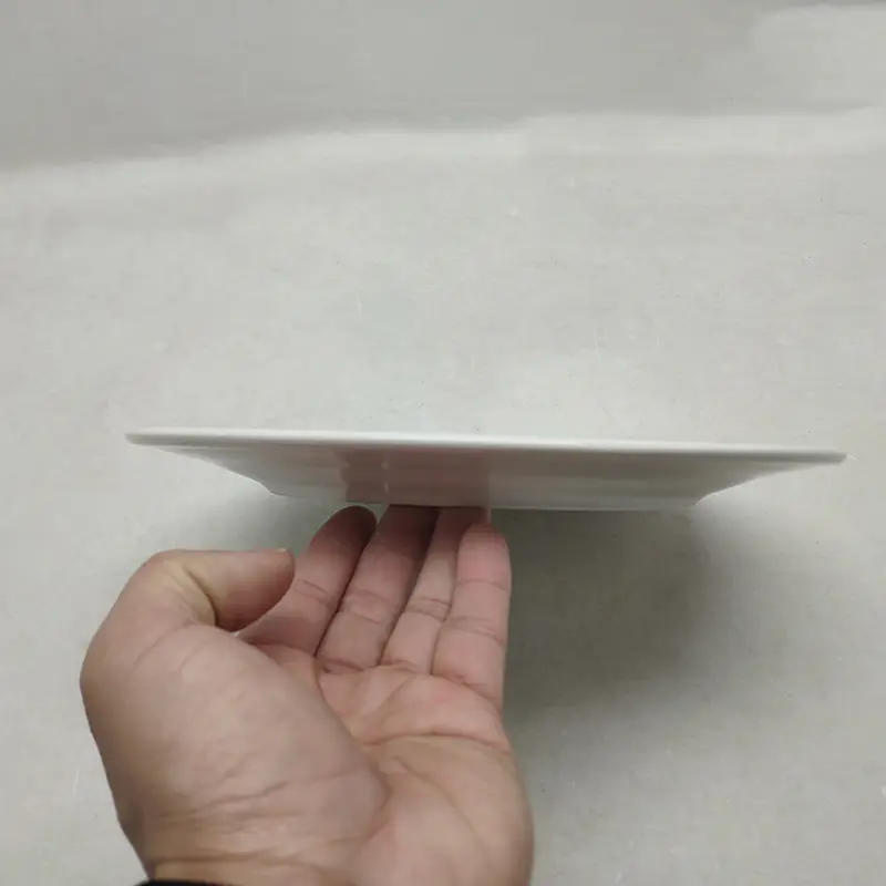 Ceramic Plate