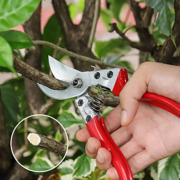 Pruning knife