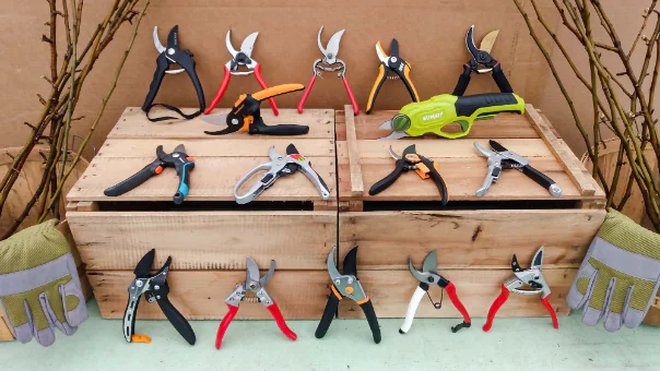 Different pruner size