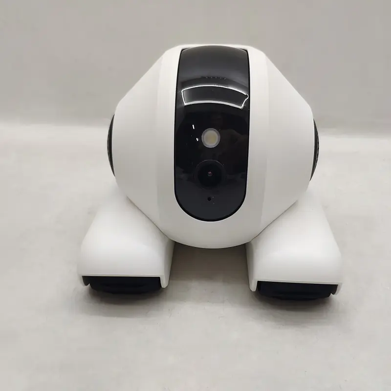 Companion Robot