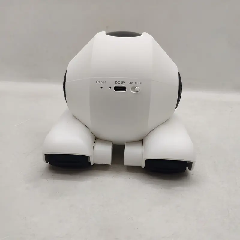 Companion Robot