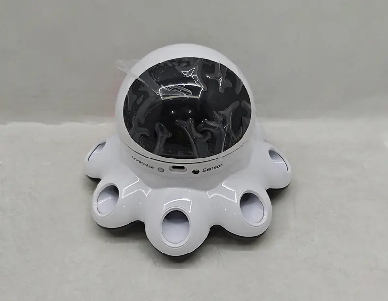 Companion Robot