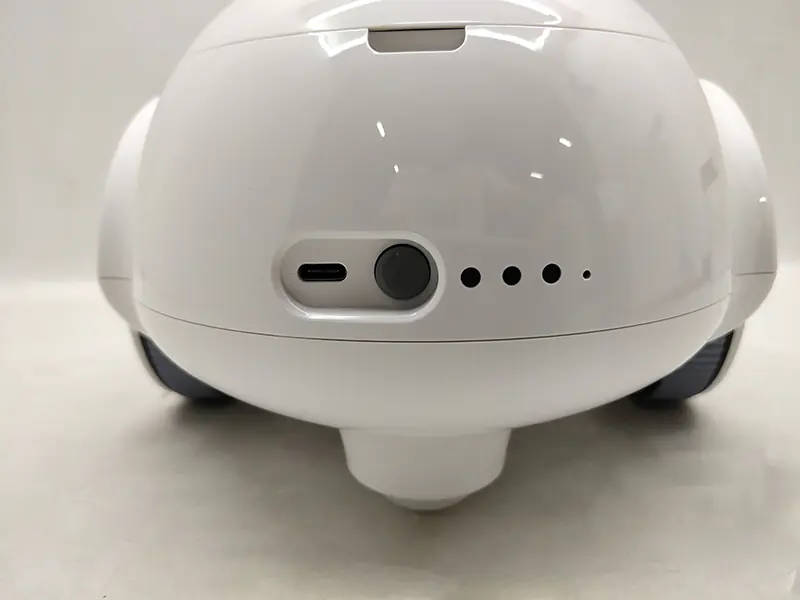 Companion Robot