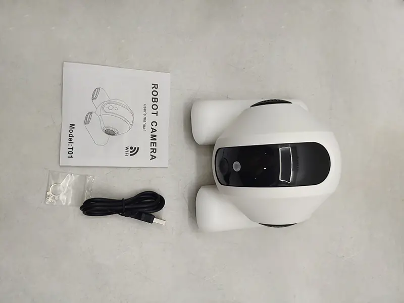 Companion Robot