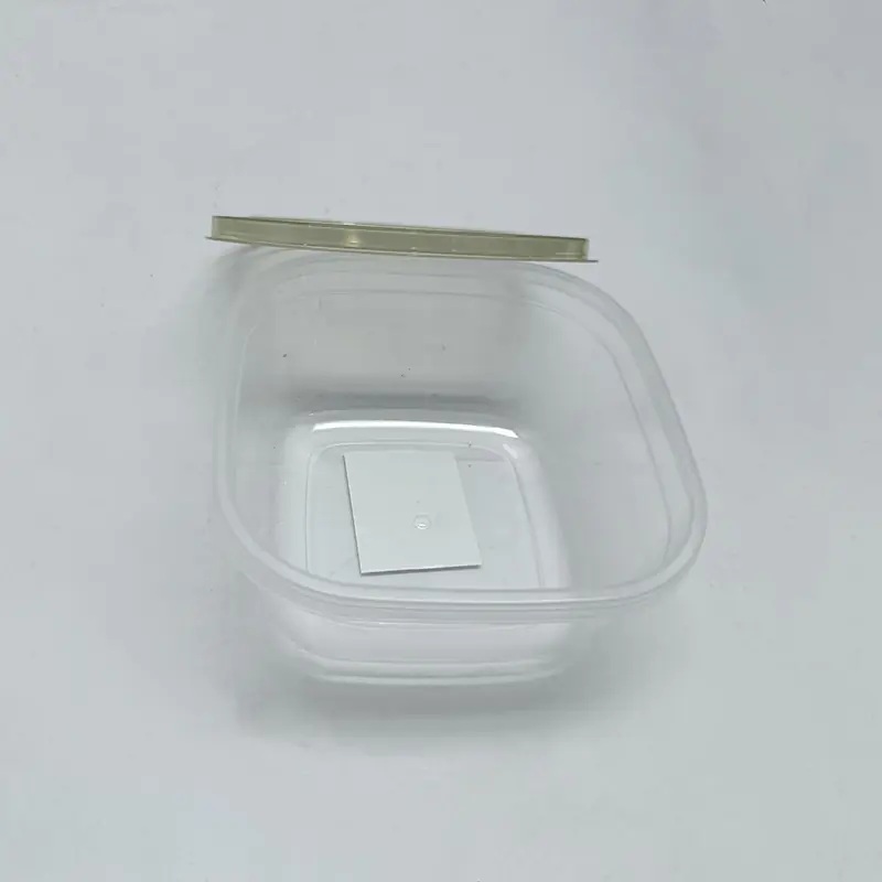 Food Storage Container