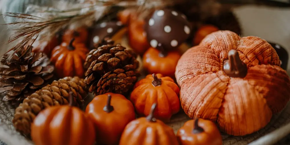 Seasonal & Holiday Decor (Christmas, Halloween, Festive)